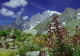 img0213.jpg
