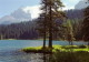 img0217.jpg