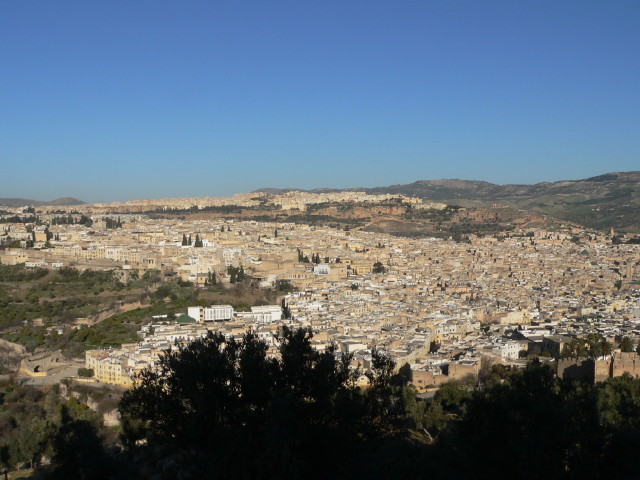 img0003.jpg