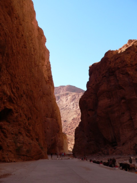 img0007.jpg