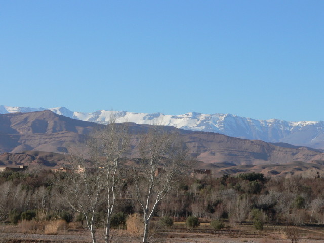 img0008.jpg