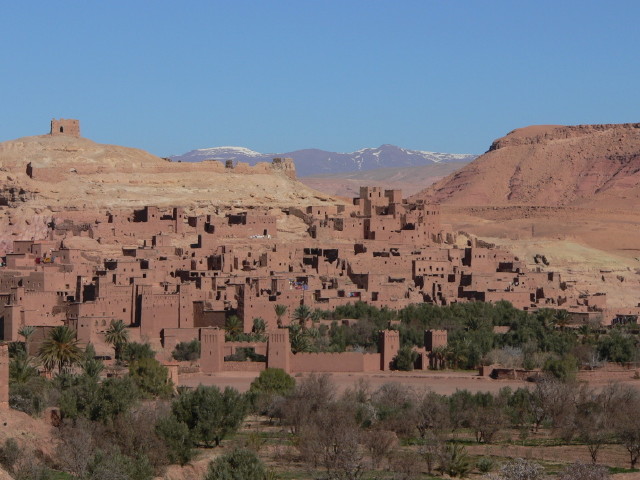 img0010.jpg