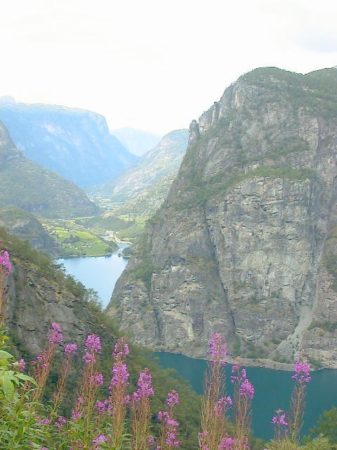 img0036.jpg