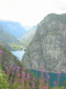 img0036.jpg