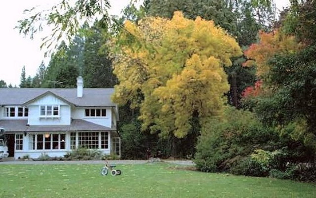 img0004.jpg