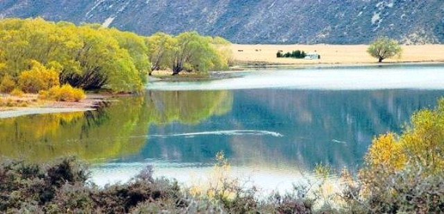 img0005.jpg