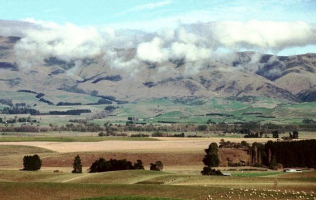 img0007.jpg