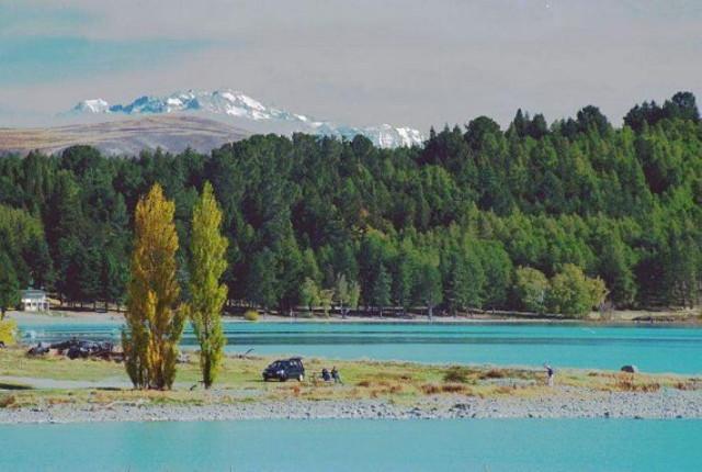 img0008.jpg