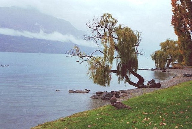 img0018.jpg