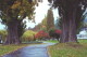 img0017.jpg