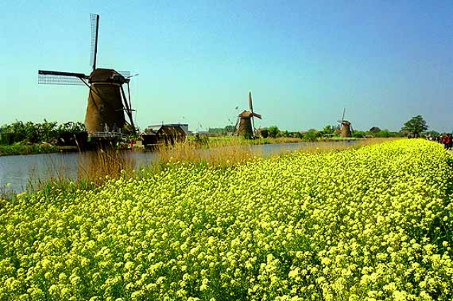 img0004.jpg