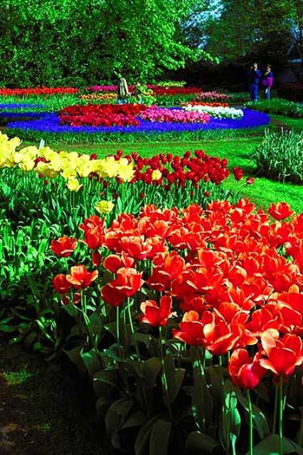 img0007.jpg