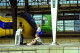 img0003.jpg