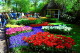 img0006.jpg