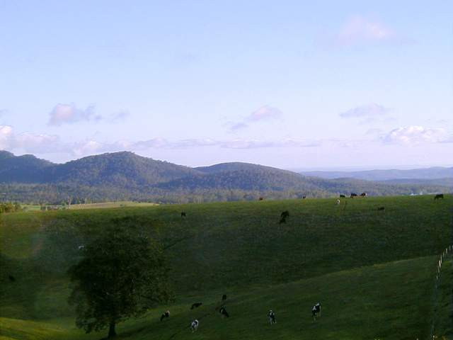 img0000.jpg