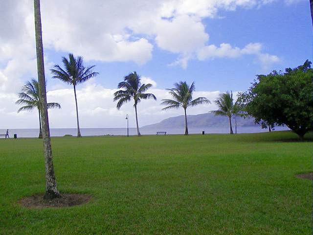 img0013.jpg