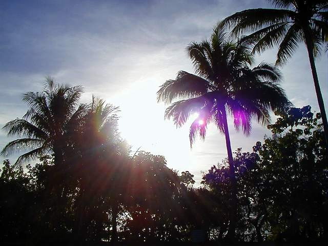 img0024.jpg