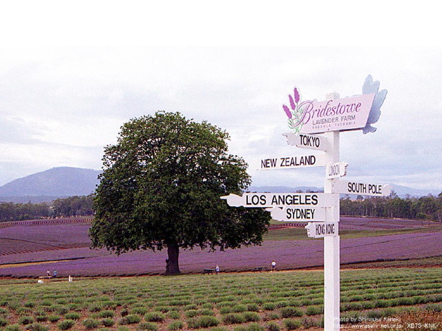 img0029.jpg
