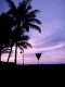 img0015.jpg