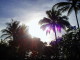 img0024.jpg