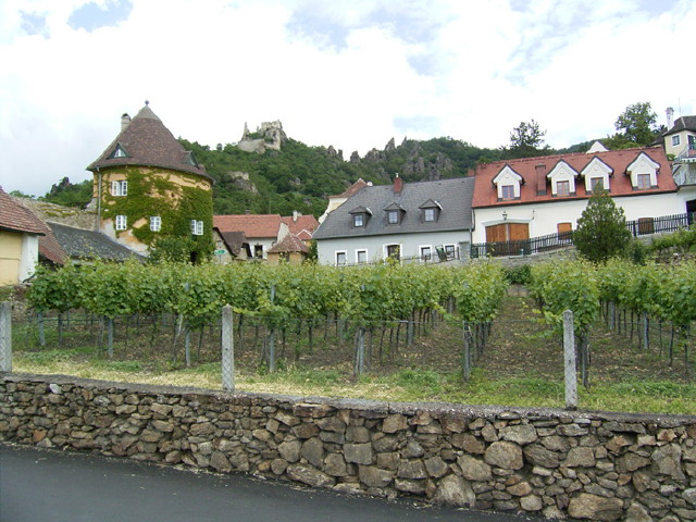 img0015.jpg