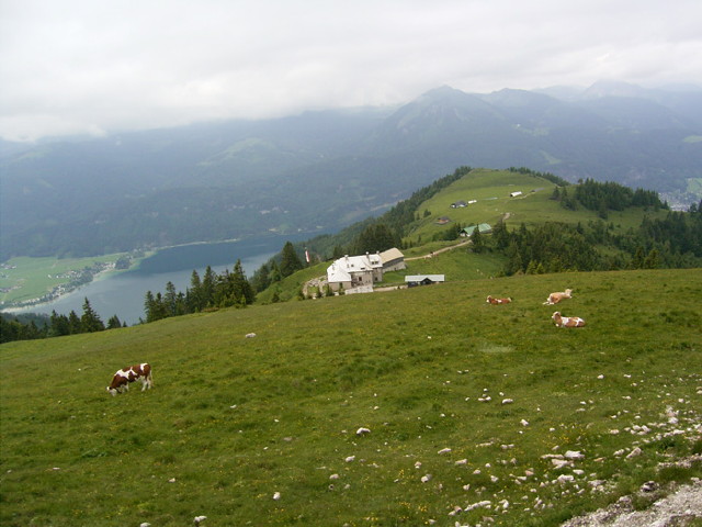 img0037.jpg