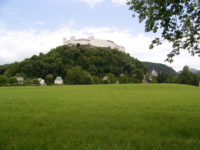 img0041.jpg