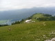 img0037.jpg