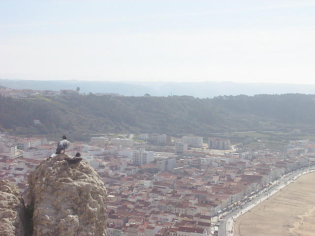 img0008.jpg
