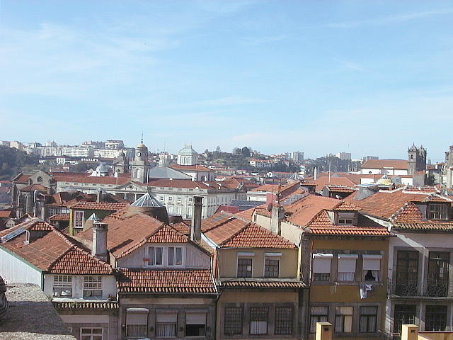 img0029.jpg