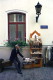 img0005.jpg