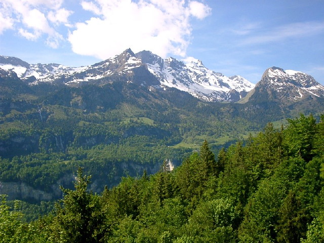 img0007.jpg