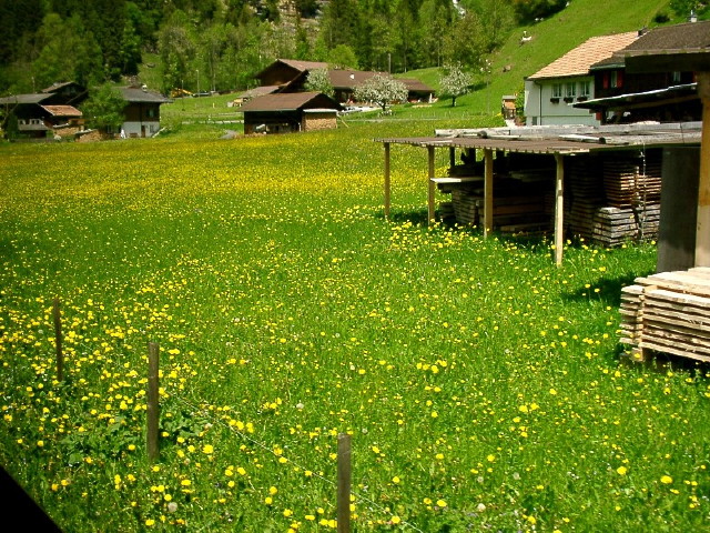 img0010.jpg