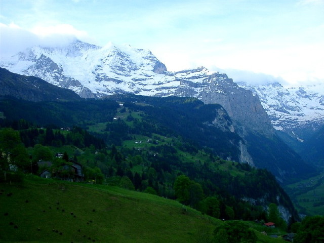 img0015.jpg
