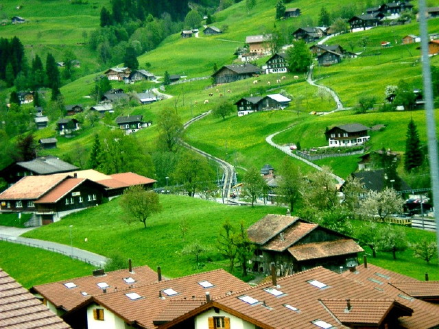 img0038.jpg