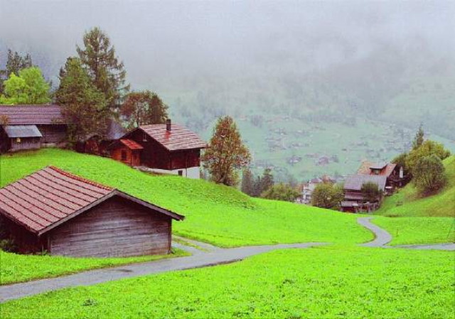 img0065.jpg