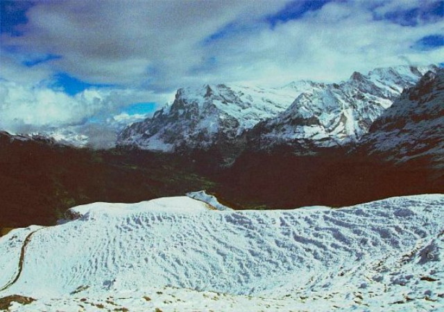 img0090.jpg