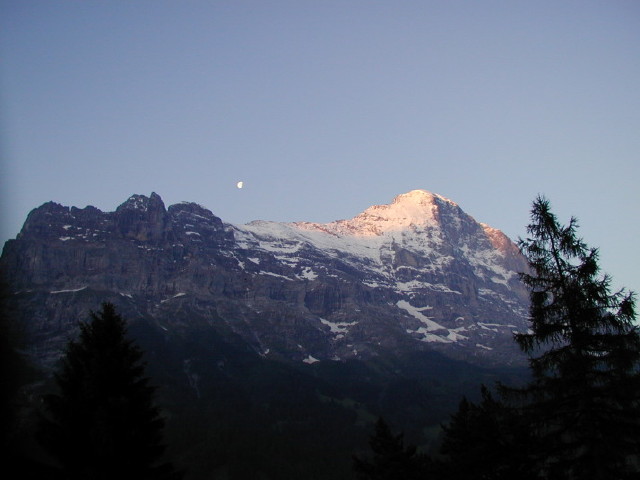 img0099.jpg