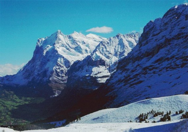 img0107.jpg