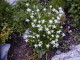 img0098.jpg