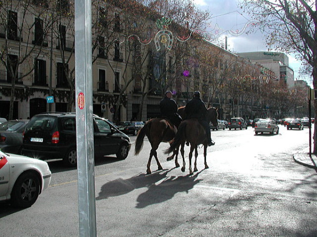 img0034.jpg