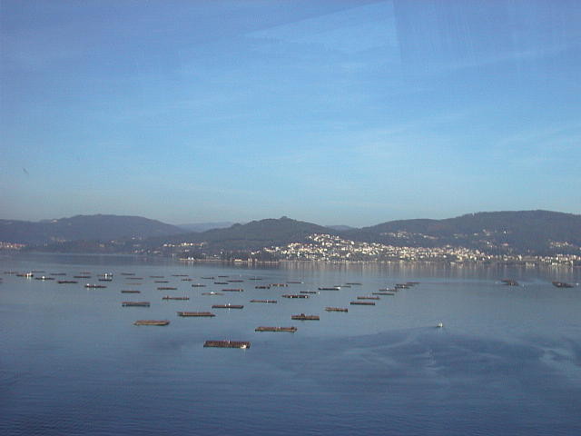 img0039.jpg