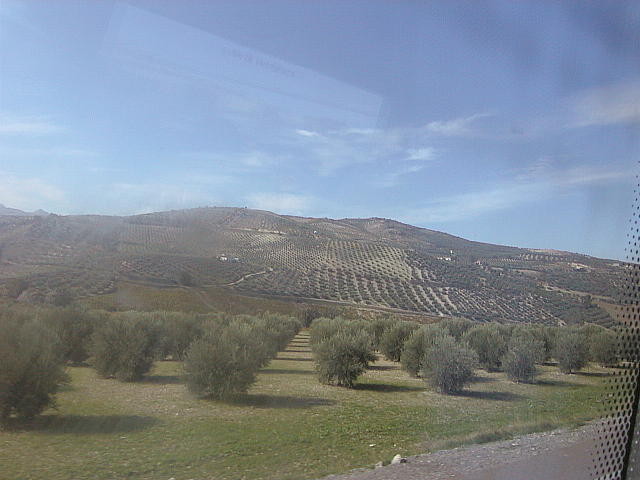 img0058.jpg