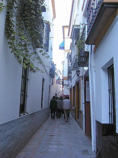 img0082.jpg