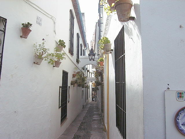 img0090.jpg