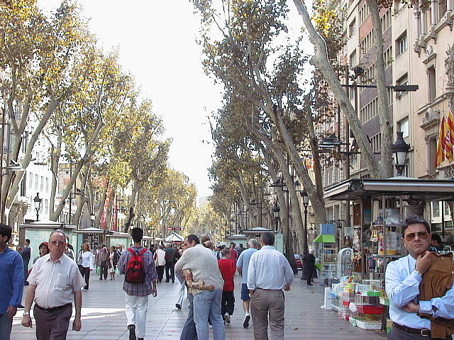 img0093.jpg