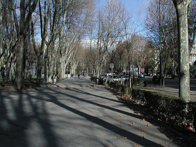 img0099.jpg