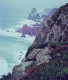 img0019.jpg