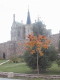 img0038.jpg