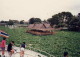 img0038.jpg